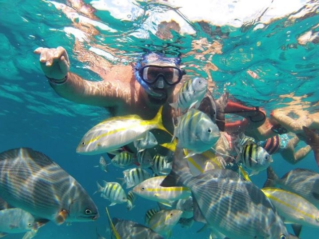 snorkel entre peces
